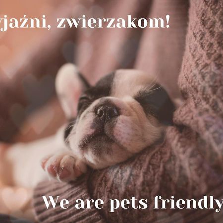 Willa Jordanowka Czorsztyn Bagian luar foto