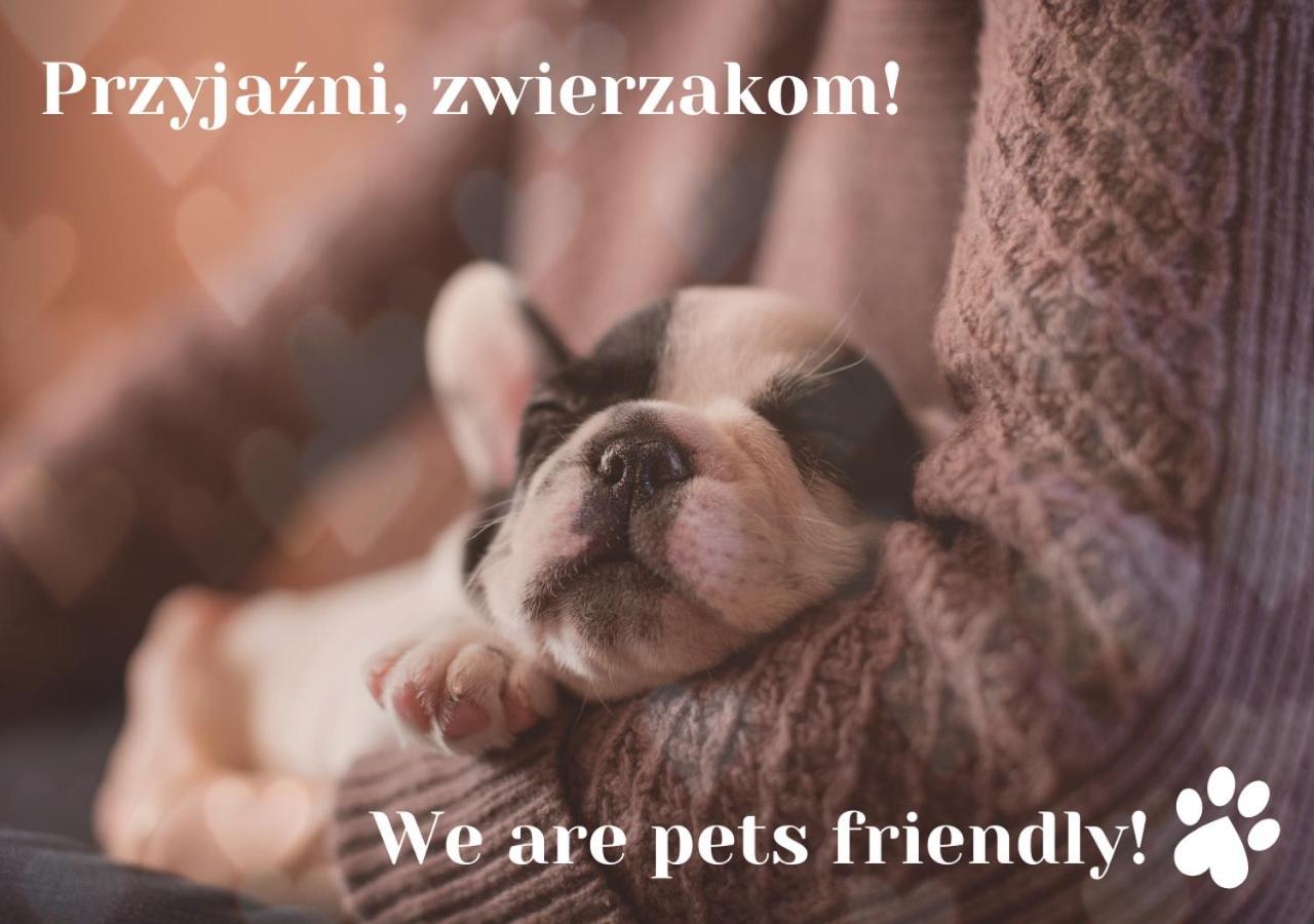 Willa Jordanowka Czorsztyn Bagian luar foto